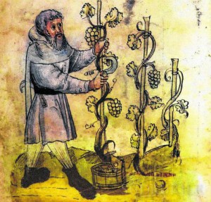 Darstellung des Weinanbaus im Mittelalter. Replik eines historischen Blattes - Bild: BEH - Museum Rosenegg